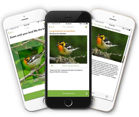 dating app for birders